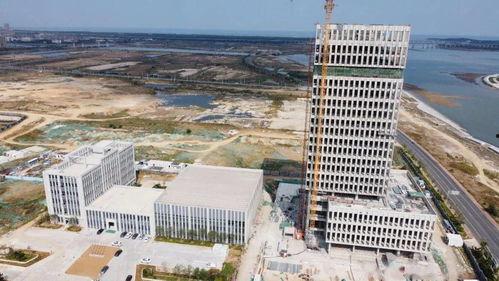 威海最新一期爆料,揭秘神秘事件背后的真相